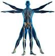 Physiotherepist