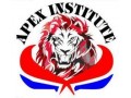 Details : APEX INSTITUTE OF EDUCATION™