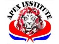 Details : Apex Institute 