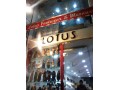 Details : Lotus-The Exclusive Showroom